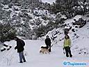 Tuffles under snow